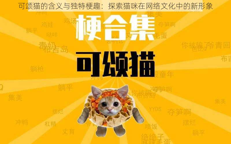 可颂猫的含义与独特梗趣：探索猫咪在网络文化中的新形象