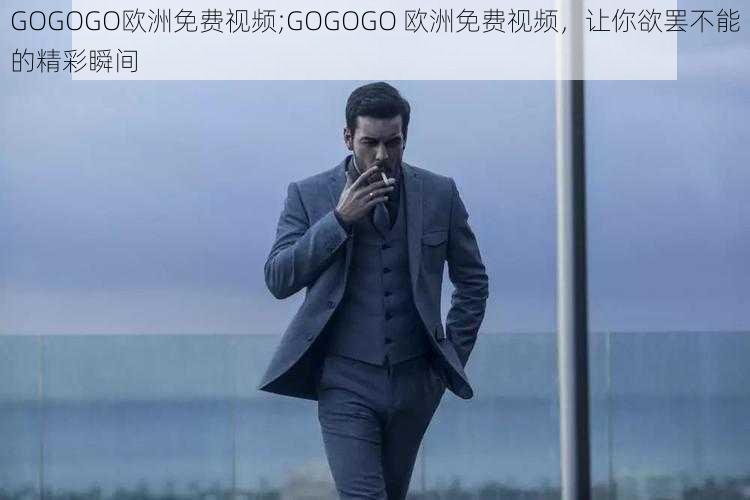 GOGOGO欧洲免费视频;GOGOGO 欧洲免费视频，让你欲罢不能的精彩瞬间