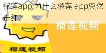 榴莲app,为什么榴莲 app突然走红？