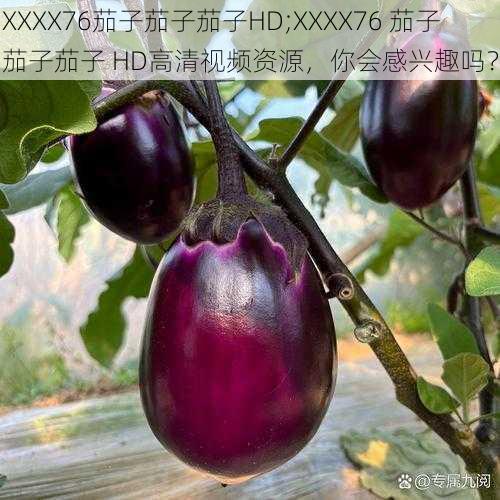 XXXX76茄子茄子茄子HD;XXXX76 茄子茄子茄子 HD高清视频资源，你会感兴趣吗？