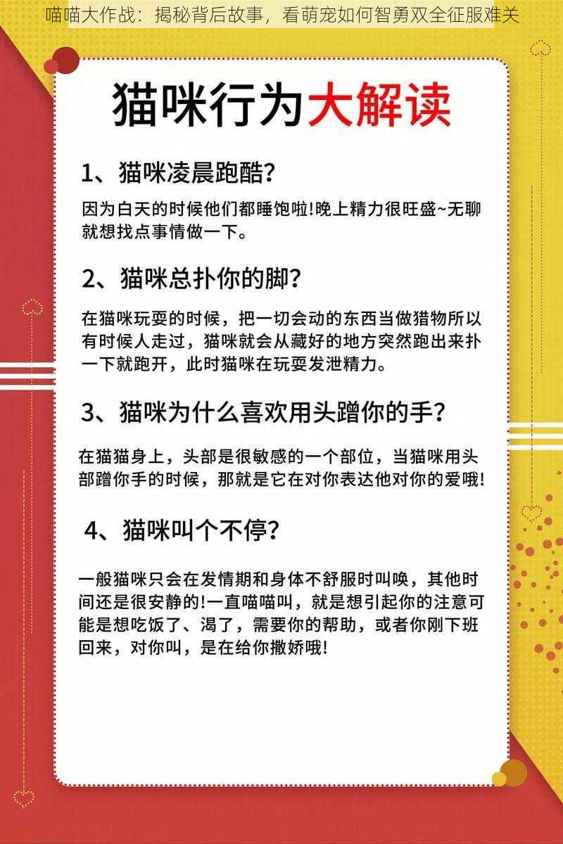 喵喵大作战：揭秘背后故事，看萌宠如何智勇双全征服难关