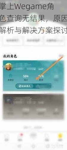 掌上Wegame角色查询无结果，原因解析与解决方案探讨