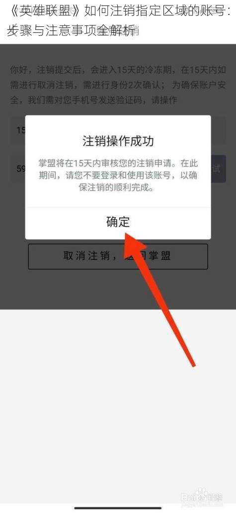 《英雄联盟》如何注销指定区域的账号：步骤与注意事项全解析