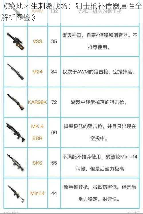 《绝地求生刺激战场：狙击枪补偿器属性全解析图鉴》