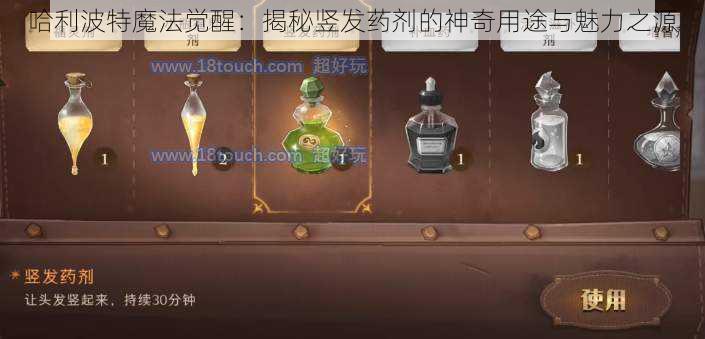 哈利波特魔法觉醒：揭秘竖发药剂的神奇用途与魅力之源