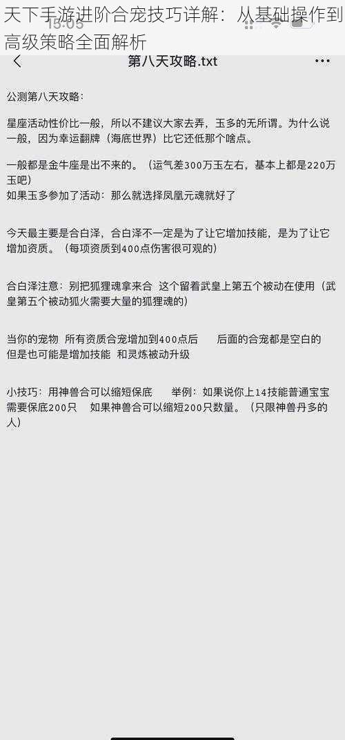 天下手游进阶合宠技巧详解：从基础操作到高级策略全面解析