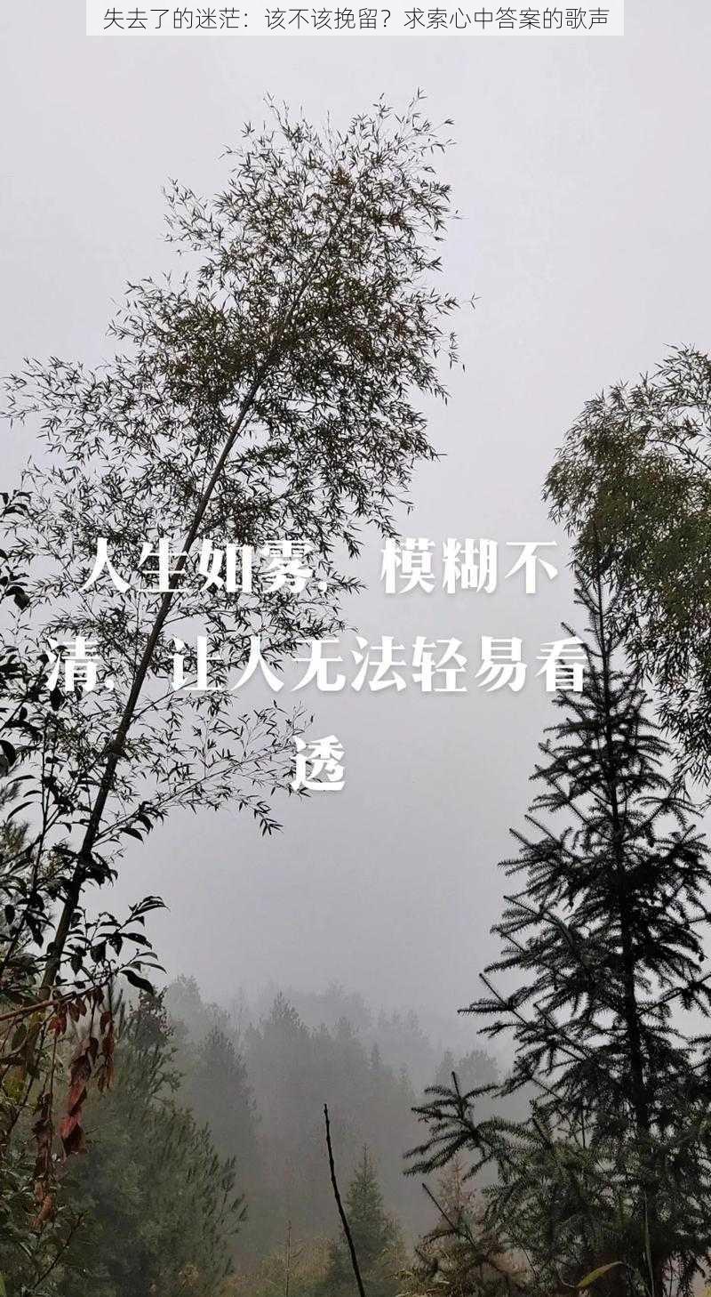 失去了的迷茫：该不该挽留？求索心中答案的歌声