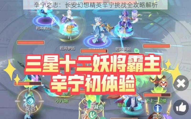 辛宁之志：长安幻想精英辛宁挑战全攻略解析